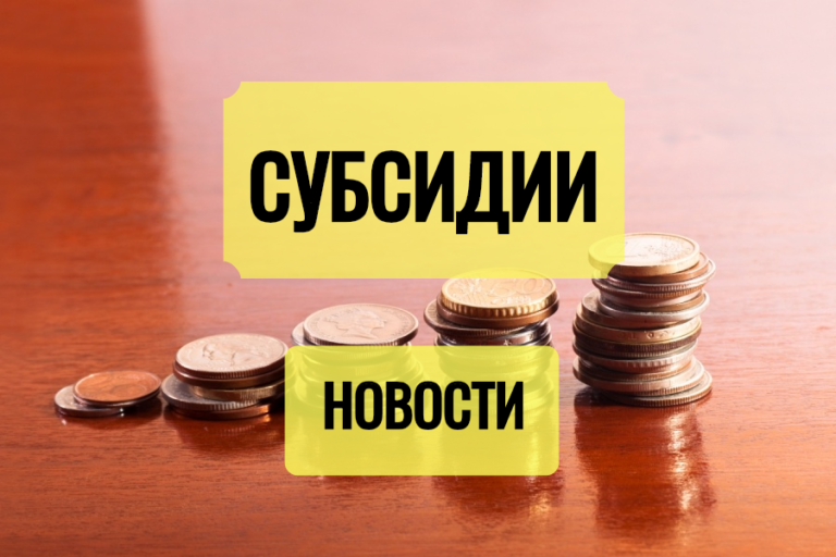 Субсидирование малого бизнеса