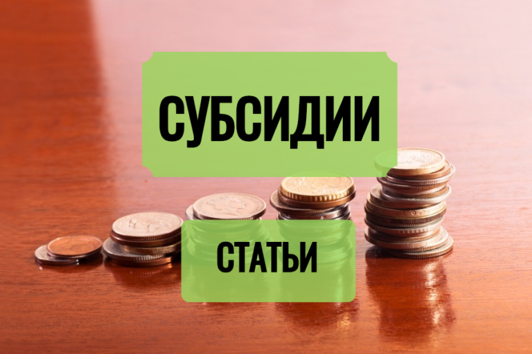 Как открыть ИП через центр занятости и получить субсидию