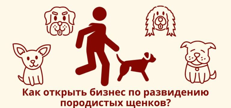 Как открыть бизнес по разведению породистых собак?