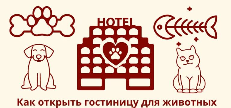 Как открыть гостиницу для животных?