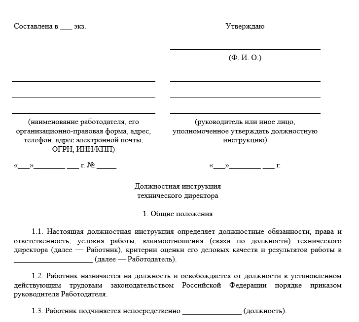Должностная инструкция технического директора бланк