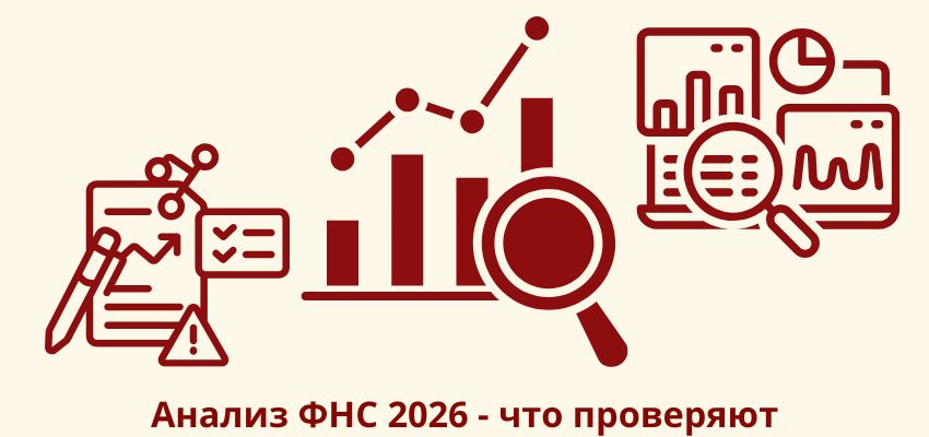 Анализ ФНС 2026 – что проверяют